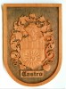 brasão da familia Castro